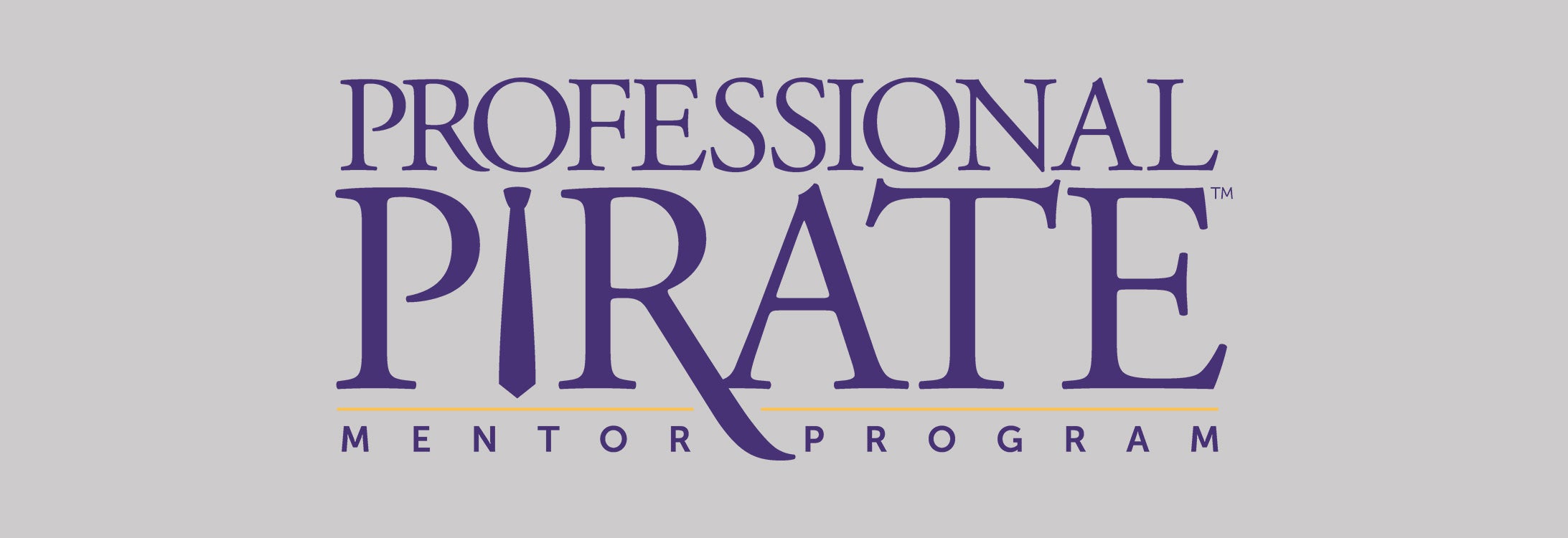 Professional Pirate mentor program web banner